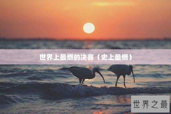 世界上最燃的决赛（史上最燃）