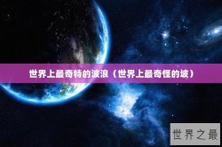 世界上最奇特的波浪（世界上最奇怪的坡）
