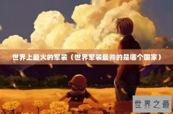 世界上最火的军装（世界军装最帅的是哪个国家）