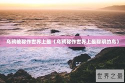乌鸦被称作世界上最（乌鸦称作世界上最聪明的鸟）