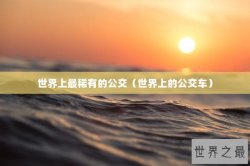 世界上最稀有的公交（世界上的公交车）