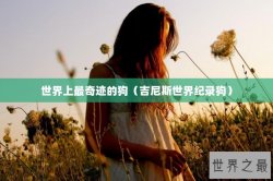 世界上最奇迹的狗（吉尼斯世界纪录狗）