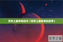 世界上最神奇的沟（世界上最神奇的故事）
