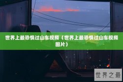 世界上最恐惧过山车视频（世界上最恐惧过山车视频图片）