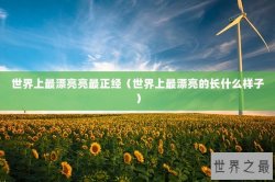 世界上最漂亮亮最正经（世界上最漂亮的长什么样子）