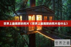 世界上最陶醉的照片（世界上最陶醉的照片是什么）