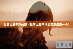 世界上最干净的烟（世界上最干净的国家是哪一个）