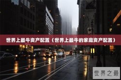 世界上最牛资产配置（世界上最牛的家庭资产配置）