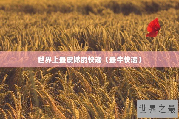 世界上最震撼的快递（最牛快递）