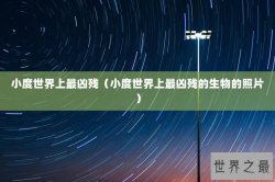 小度世界上最凶残（小度世界上最凶残的生物的照片）
