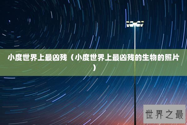 小度世界上最凶残（小度世界上最凶残的生物的照片）