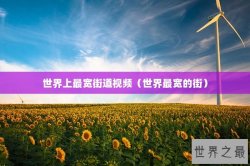 世界上最宽街道视频（世界最宽的街）