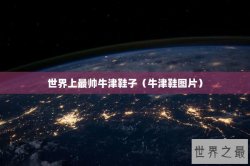 世界上最帅牛津鞋子（牛津鞋图片）