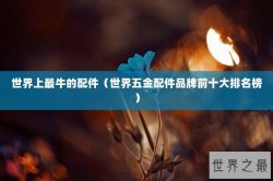 世界上最牛的配件（世界五金配件品牌前十大排名榜）