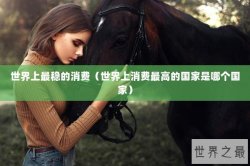 世界上最稳的消费（世界上消费最高的国家是哪个国家）