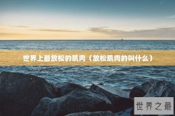 世界上最放松的肌肉（放松肌肉的叫什么）