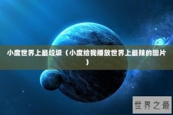 小度世界上最垃圾（小度给我播放世界上最辣的图片）