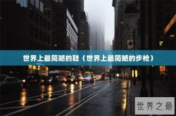 世界上最简陋的鞋（世界上最简陋的步枪）