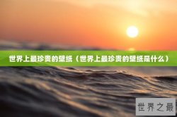 世界上最珍贵的壁纸（世界上最珍贵的壁纸是什么）