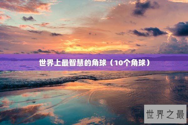 世界上最智慧的角球（10个角球）