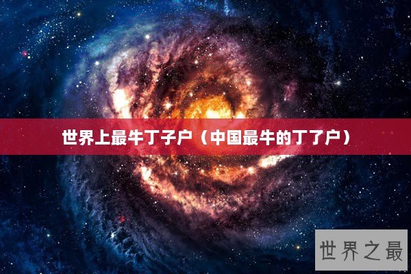 世界上最牛丁子户（中国最牛的丁了户）
