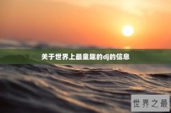 关于世界上最童趣的dj的信息