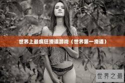 世界上最疯狂滑道游戏（世界第一滑道）