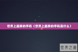 世界上最胖的手机（世界上最胖的手机是什么）