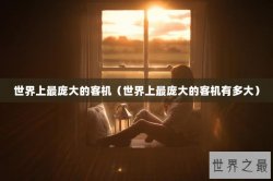 世界上最庞大的客机（世界上最庞大的客机有多大）