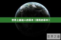 世界上最迷人的草木（漂亮的草木）