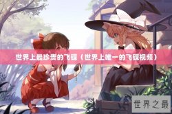 世界上最珍贵的飞碟（世界上唯一的飞碟视频）
