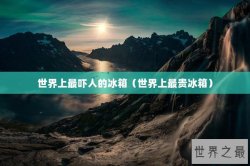世界上最吓人的冰箱（世界上最贵冰箱）