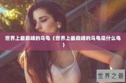 世界上最巅峰的乌龟（世界上最巅峰的乌龟是什么龟）