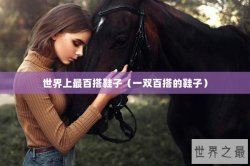 世界上最百搭鞋子（一双百搭的鞋子）