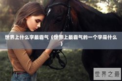 世界上什么字最霸气（世界上最霸气的一个字是什么）