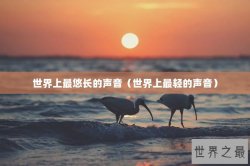 世界上最悠长的声音（世界上最轻的声音）