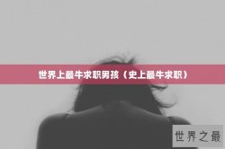 世界上最牛求职男孩（史上最牛求职）