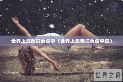 世界上最敷衍的名字（世界上最敷衍的名字是）