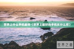 世界上什么手机最帅（世界上最好的手机长什么样）