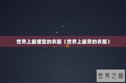 世界上最便宜的衣服（世界上最贵的衣服）