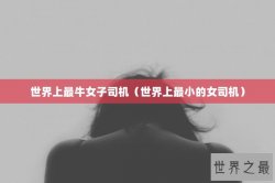 世界上最牛女子司机（世界上最小的女司机）