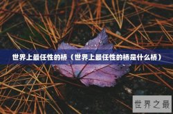 世界上最任性的桥（世界上最任性的桥是什么桥）