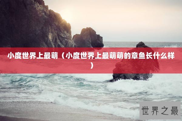 小度世界上最萌（小度世界上最萌萌的章鱼长什么样）