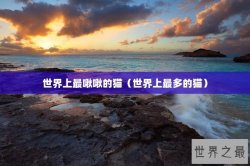 世界上最啾啾的猫（世界上最多的猫）