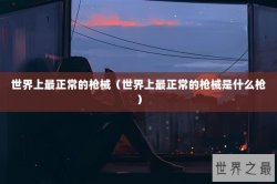 世界上最正常的枪械（世界上最正常的枪械是什么枪）