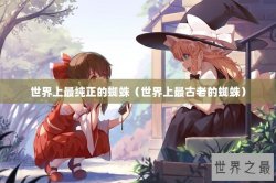 世界上最纯正的蜘蛛（世界上最古老的蜘蛛）