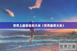 世界上最安全的大米（世界最贵大米）