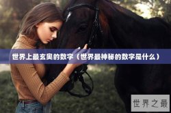 世界上最玄奥的数字（世界最神秘的数字是什么）