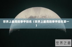 世界上最危险拳手排名（世界上最危险拳手排名第一）