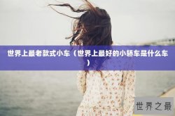 世界上最老款式小车（世界上最好的小轿车是什么车）